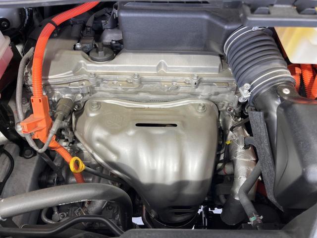24481694_carP_l_18.jpg