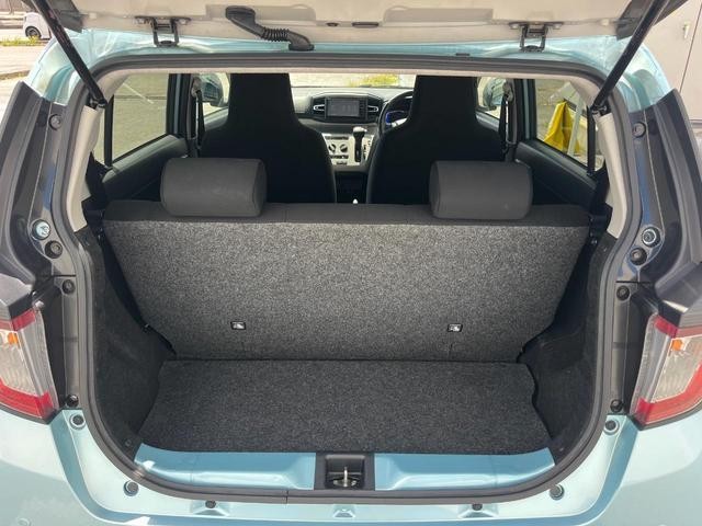26126677_carP_l_5.jpg