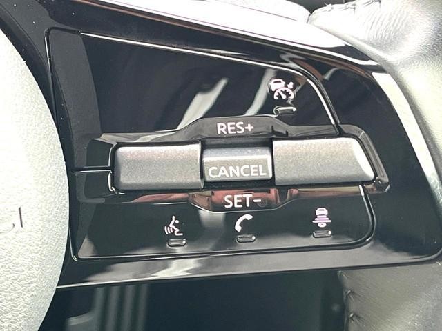 25612308_carP_l_17.jpg