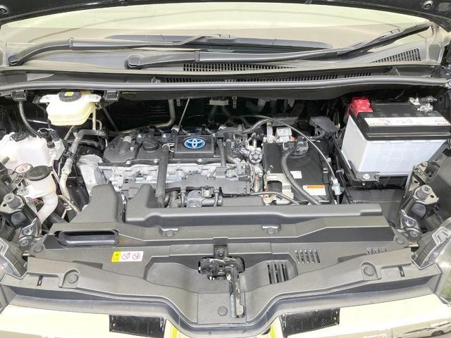 26146697_carP_l_18.jpg