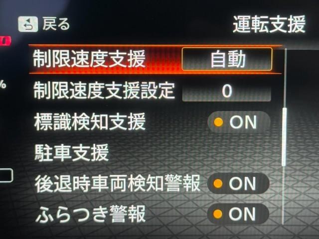 25592196_carP_l_11.jpg