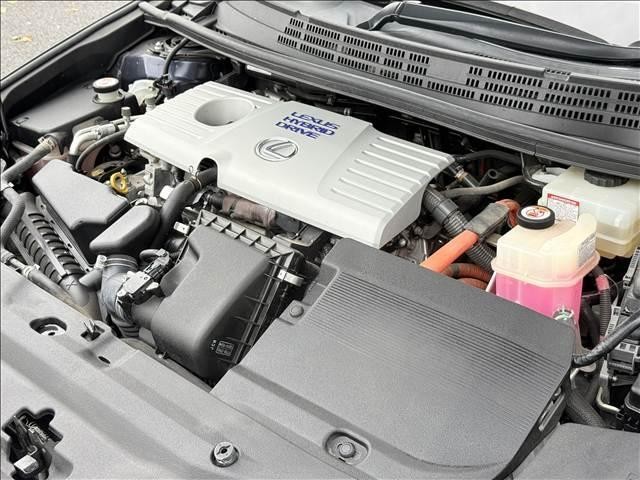 26905352_carP_l_9.jpg