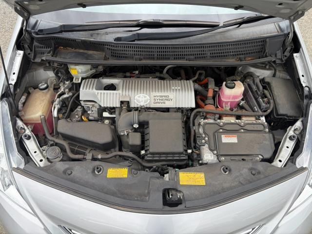26231418_carP_l_17.jpg