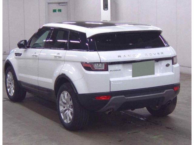 24117487_carP_l_13.jpg