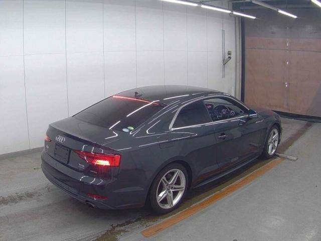 26044275_carP_l_10.jpg