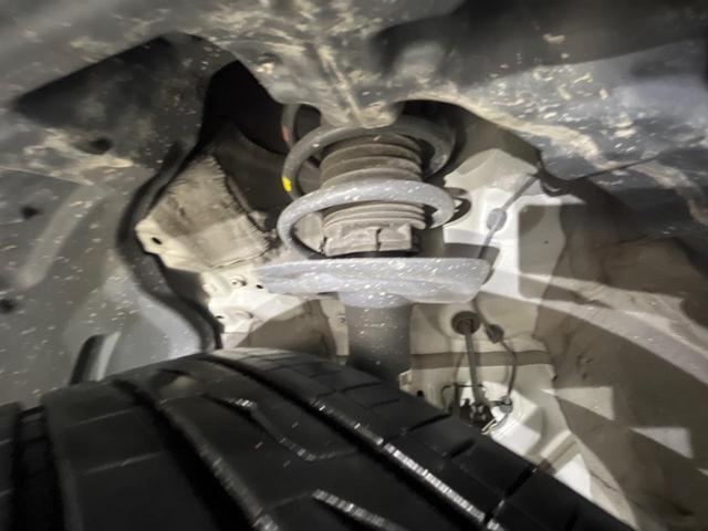24340566_carP_l_20.jpg