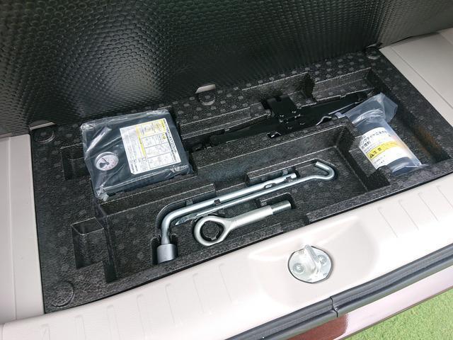 24348168_carP_l_6.jpg