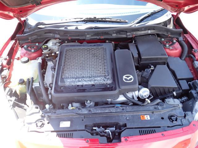 24279910_carP_l_17.jpg