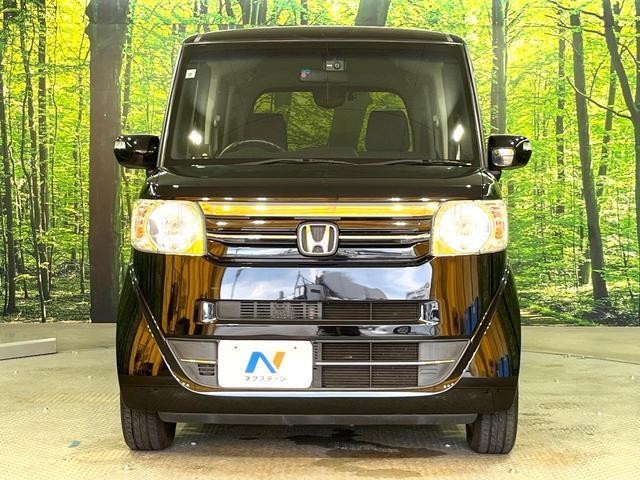 26356854_carP_l_8.jpg
