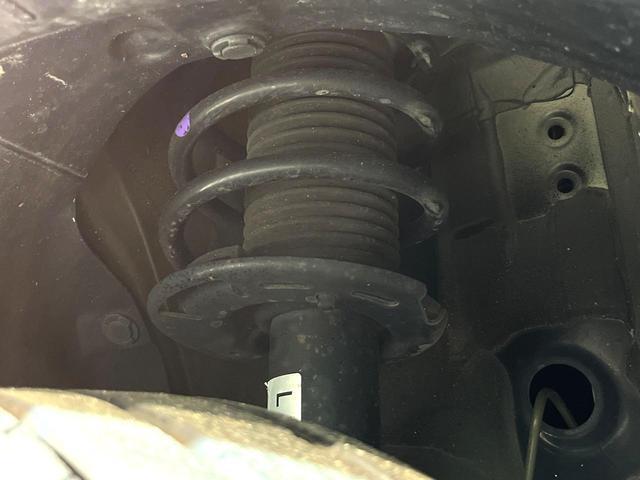24912551_carP_l_20.jpg