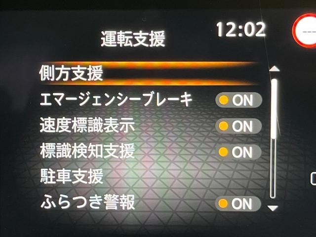26623246_carP_l_13.jpg