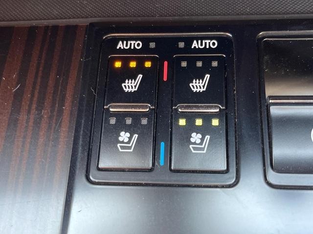 26168088_carP_l_14.jpg