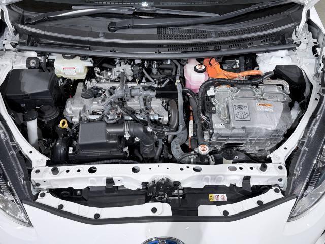 23712991_carP_l_17.jpg