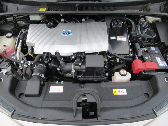 033ddf0f10fe3be876753066c384ff1e.jpg