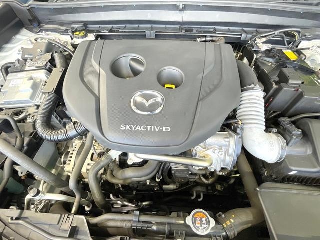25774772_carP_l_16.jpg