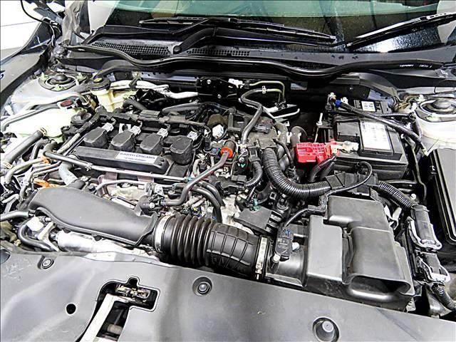 0207077A20261024D00319.jpg