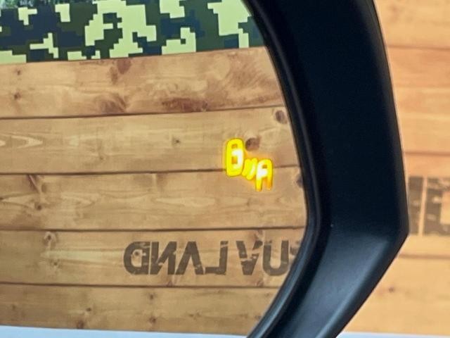 25138083_carP_l_14.jpg