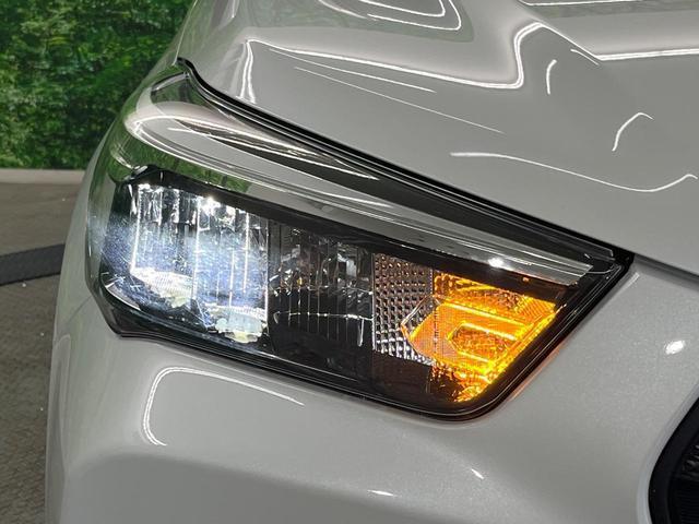 24808249_carP_l_6.jpg