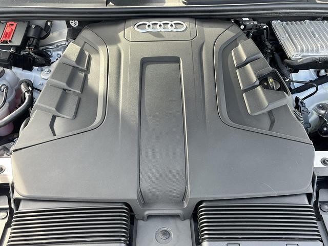 24660009_carP_l_12.jpg