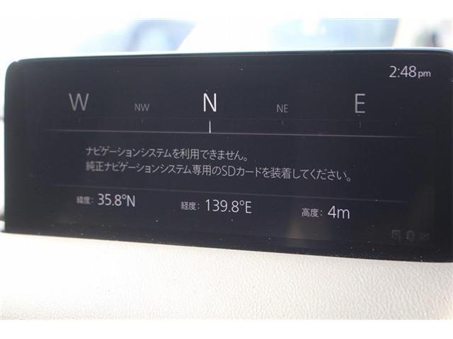 23909677_carP_l_3.jpg