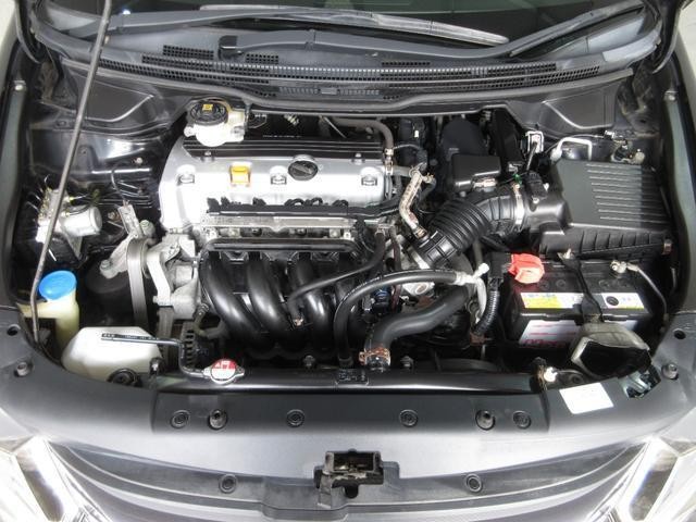 26225554_carP_l_20.jpg