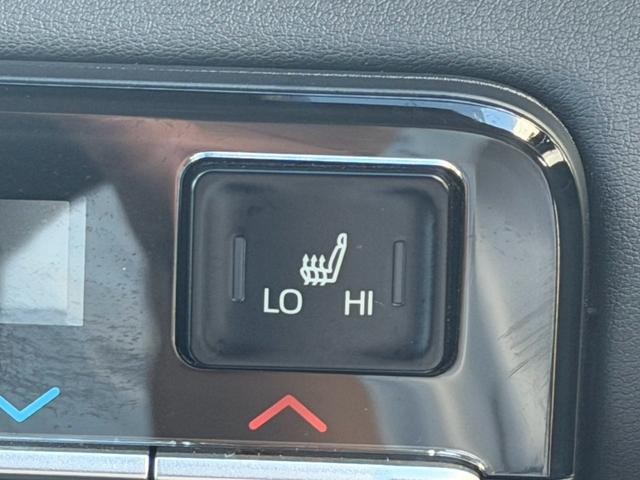 0500061A20261004K00710.jpg