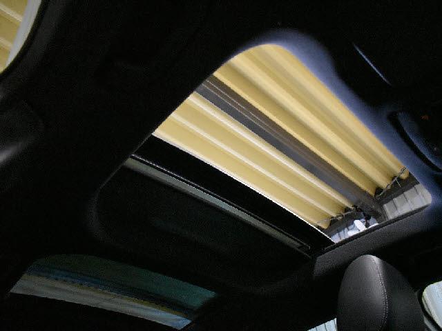 24551654_carP_l_10.jpg