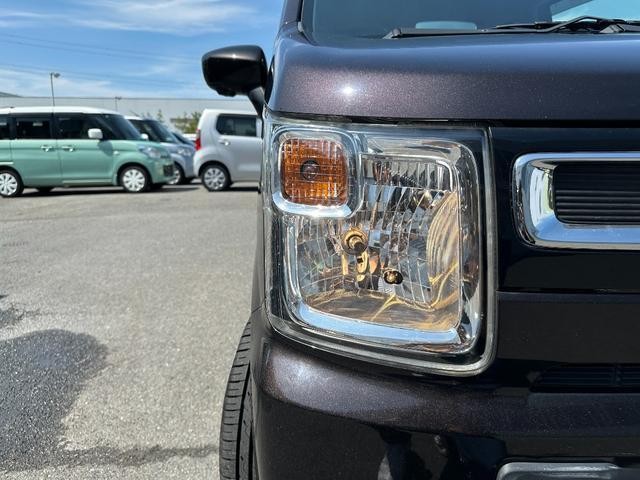 25522282_carP_l_5.jpg