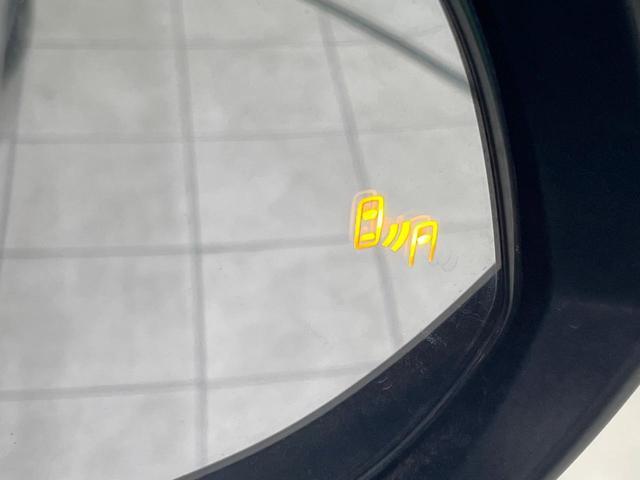 23054934_carP_l_10.jpg
