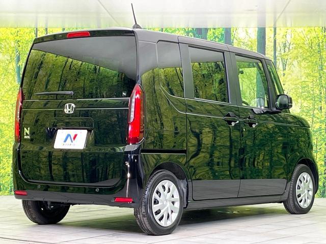24912562_carP_l_12.jpg