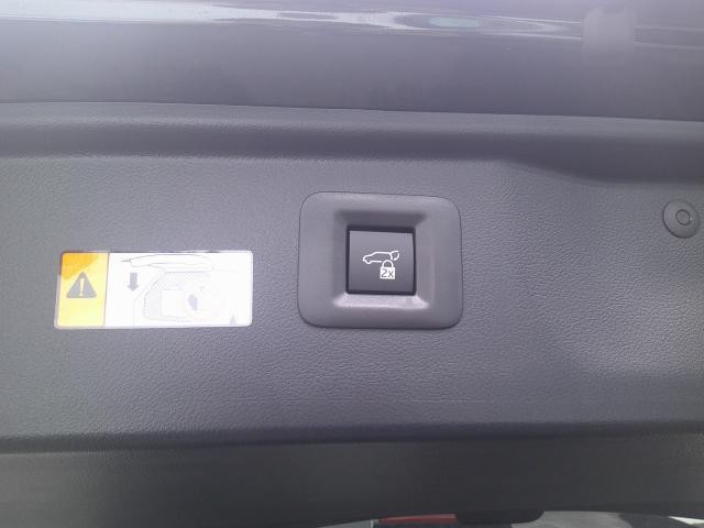 25239179_carP_l_16.jpg