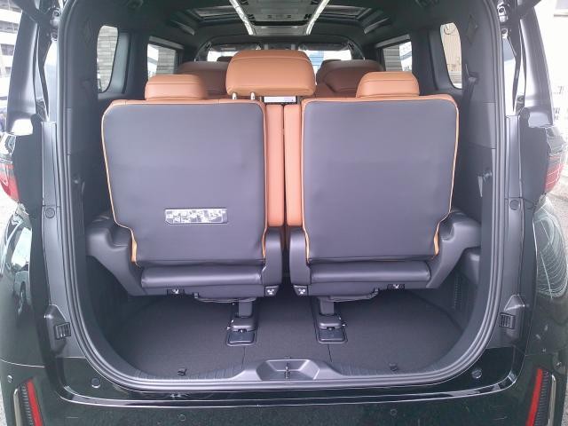 25239179_carP_l_18.jpg