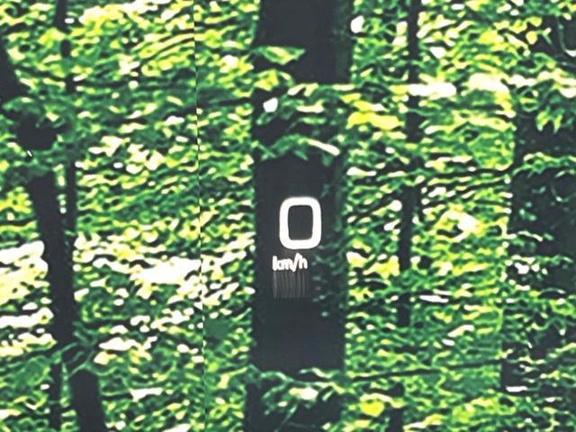 24340768_carP_l_13.jpg
