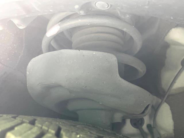 24340768_carP_l_20.jpg