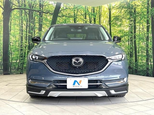 25324168_carP_l_8.jpg
