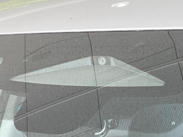 25199784_carP_l_4.jpg