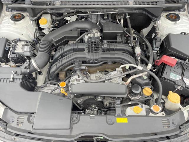 24380081_carP_l_16.jpg