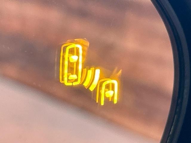 26446526_carP_l_14.jpg