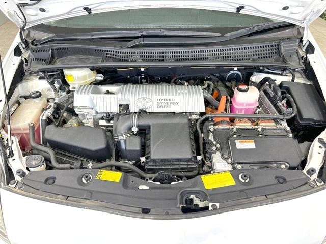 25324170_carP_l_16.jpg