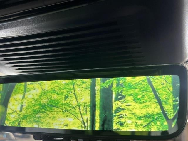 27052081_carP_l_6.jpg