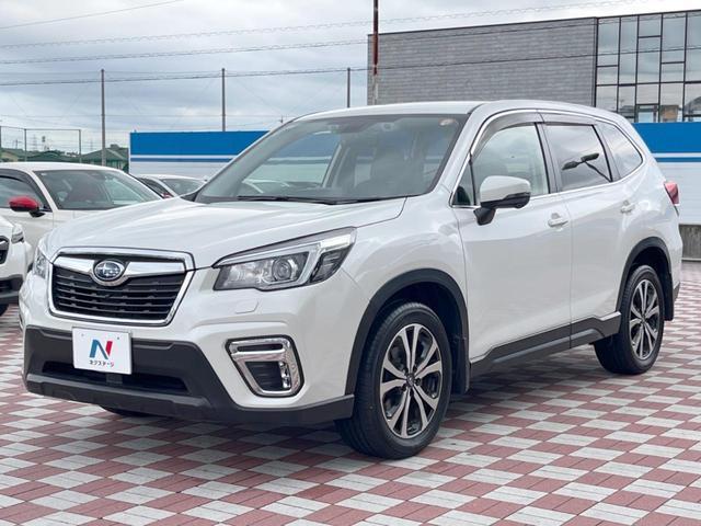 24380082_carP_l_11.jpg