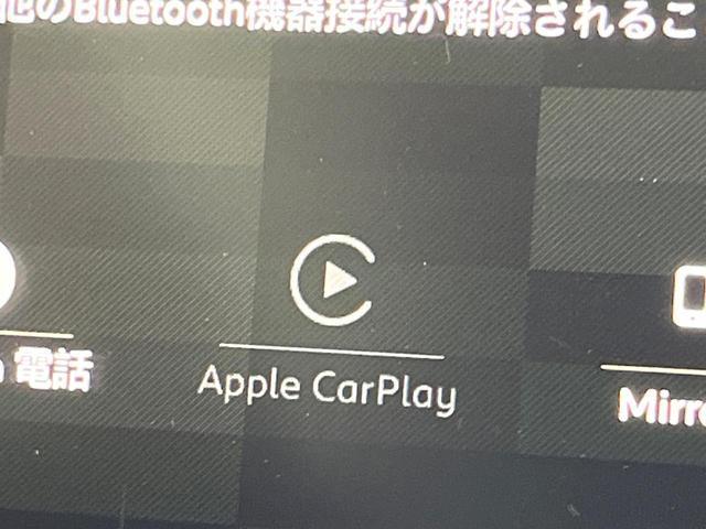 24380115_carP_l_10.jpg