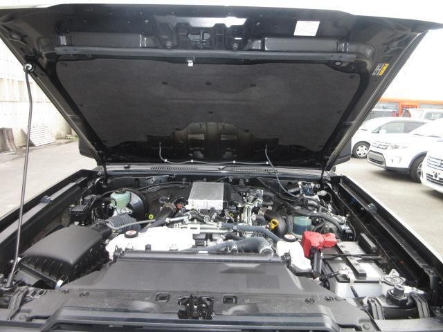 25446281_carP_l_19.jpg