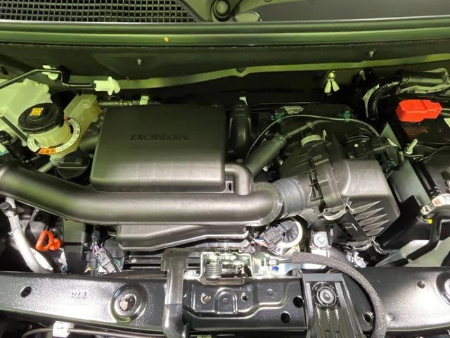 25015166_carP_l_16.jpg