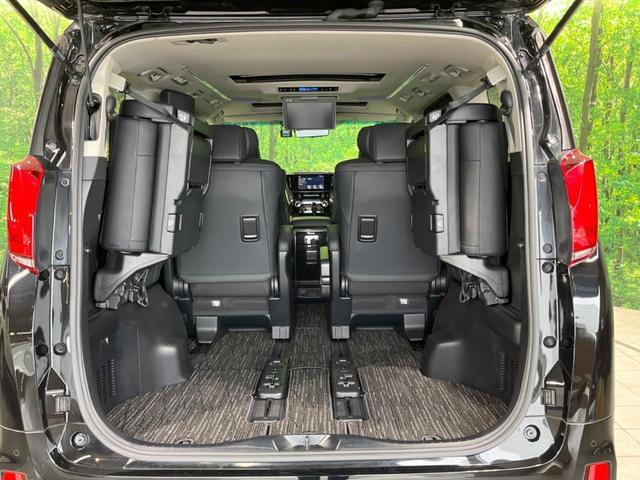 24441172_carP_l_7.jpg