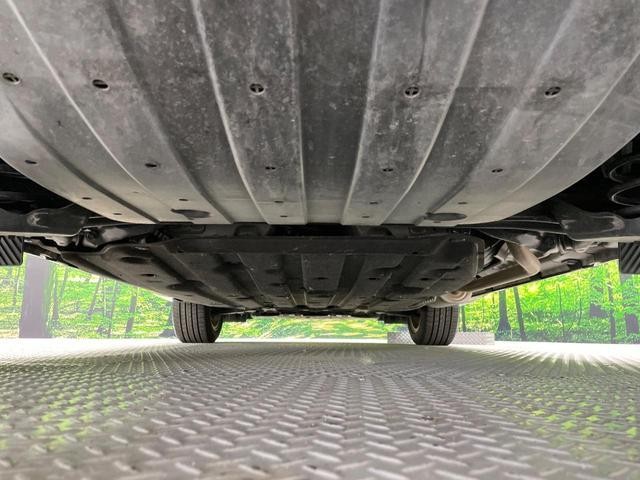 25324288_carP_l_18.jpg