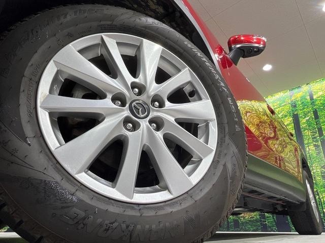 26882310_carP_l_7.jpg