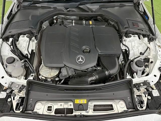 25070816_carP_l_20.jpg