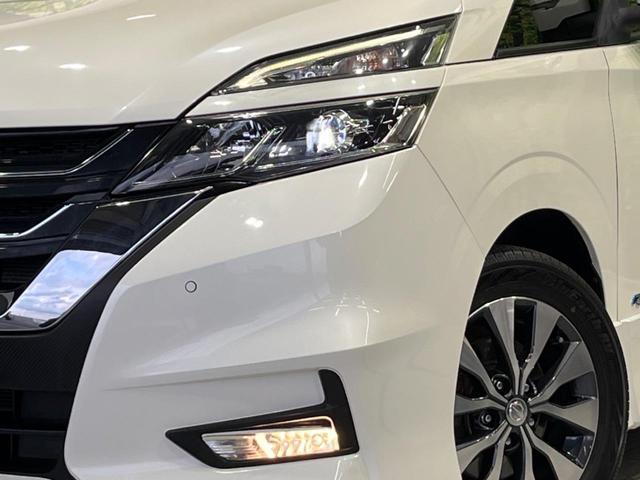 23635677_carP_l_7.jpg