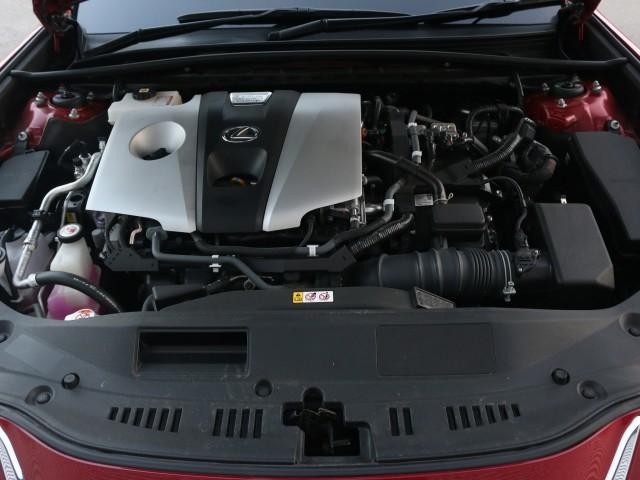 25512470_carP_l_17.jpg